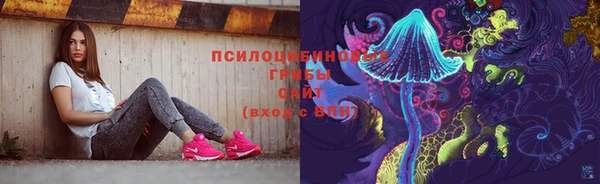 тгк Алзамай